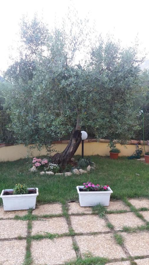 Alloggio Turistico L'Ulivo Monte San Biagio Exteriér fotografie